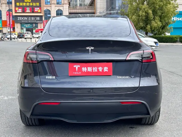 Tesla Model Y — Фото автомобиля 9