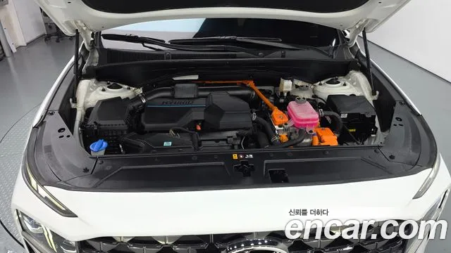 Hyundai Santa Fe New — Фото автомобиля 6