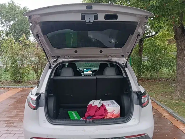 Geely Starry Wish — Фото автомобиля 18