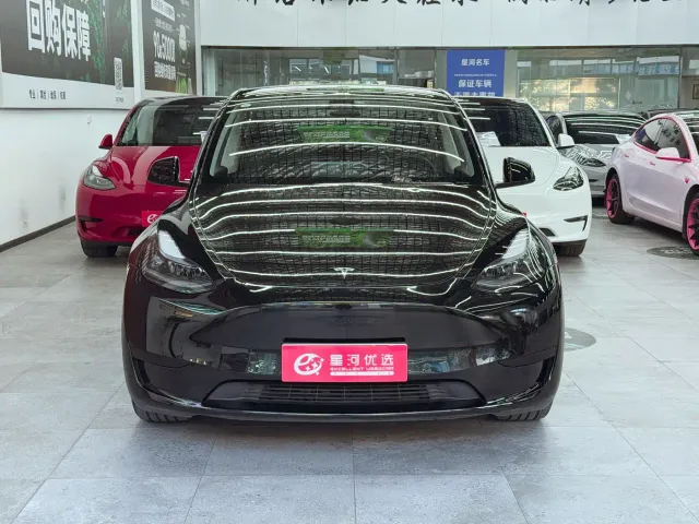 Tesla Model Y — Фото автомобиля 2