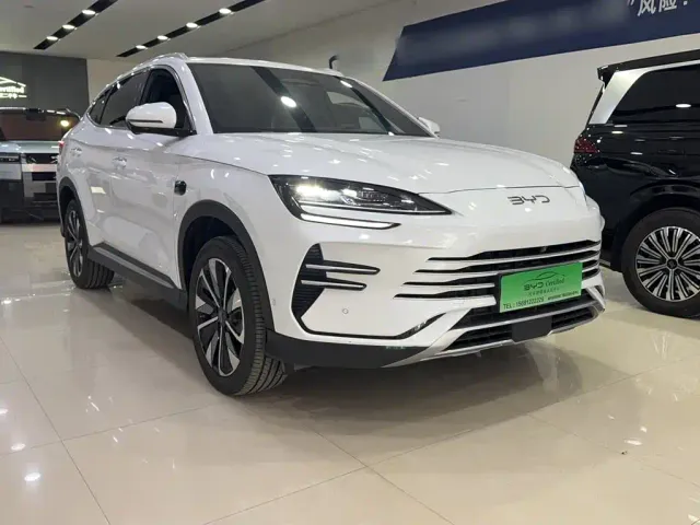 BYD Song PLUS — Фото автомобиля 10