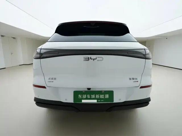 BYD Sealion 06 — Фото автомобиля 4