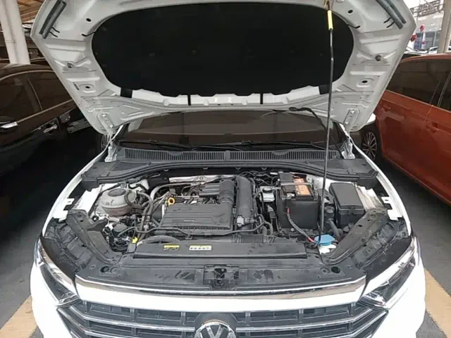 Volkswagen Sagitar — Фото автомобиля 19