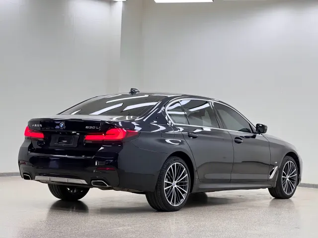 BMW 5 Series — Фото автомобиля 30