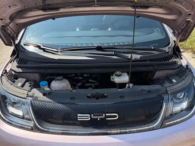 BYD Dolphin — Фото автомобиля 11