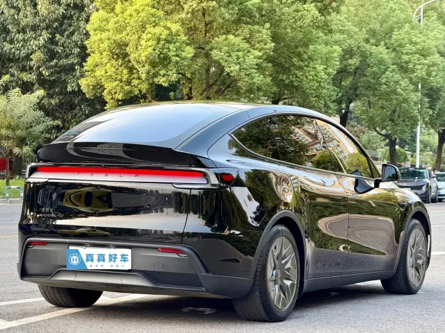 Tesla Model Y L — Фото автомобиля 4