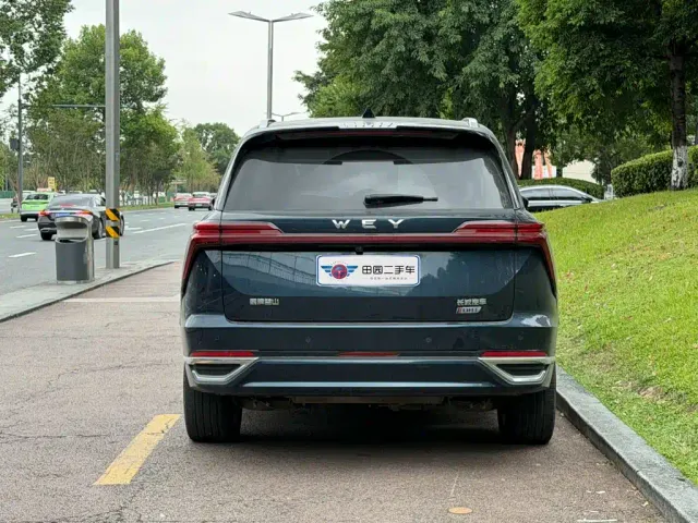 Wey Lanshan — Фото автомобиля 5