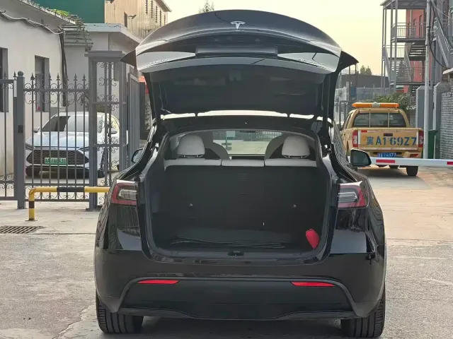 Tesla Model Y — Фото автомобиля 12