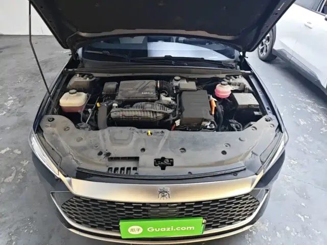 BYD Qin PLUS — Фото автомобиля 19