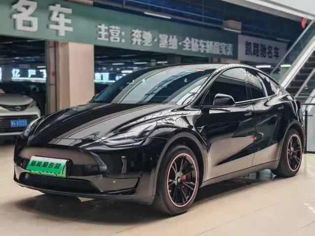 Tesla Model Y — Фото автомобиля 3