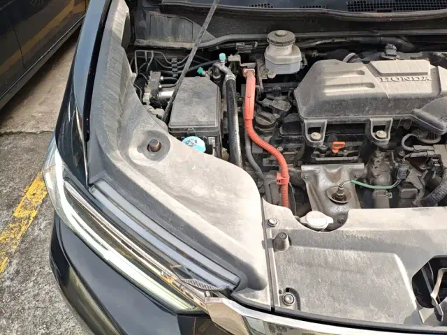 Honda Elysion — Фото автомобиля 17
