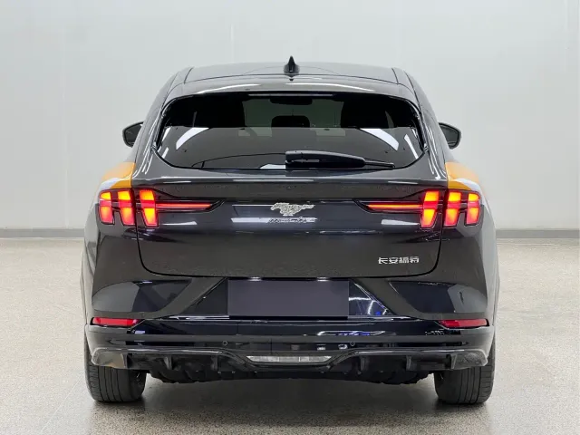 Ford Mustang Mach-E — Фото автомобиля 5