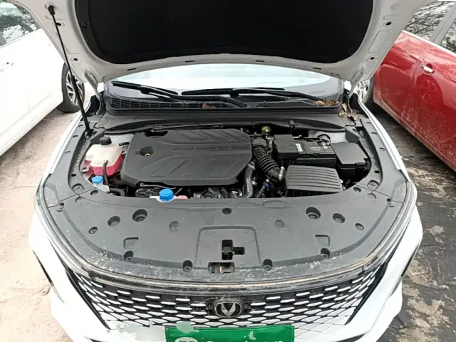Changan Raeton Plus — Фото автомобиля 15