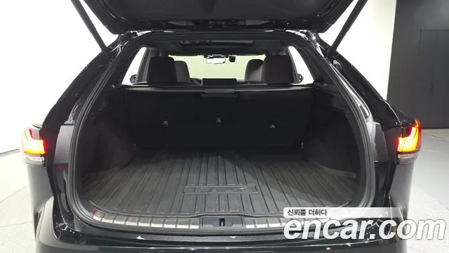 Lexus RX — Фото автомобиля 20