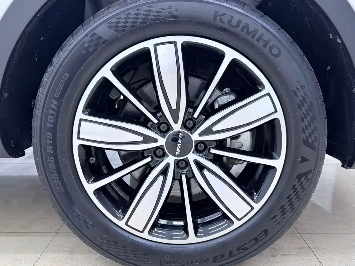 Haval Haval H6 2023 National Trend Edition 1.5T Automatic Champion — Фото автомобиля 24