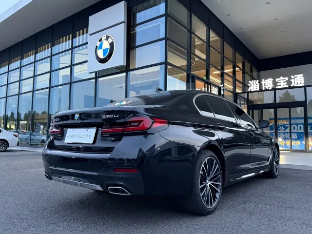 BMW 5 Series — Фото автомобиля 13
