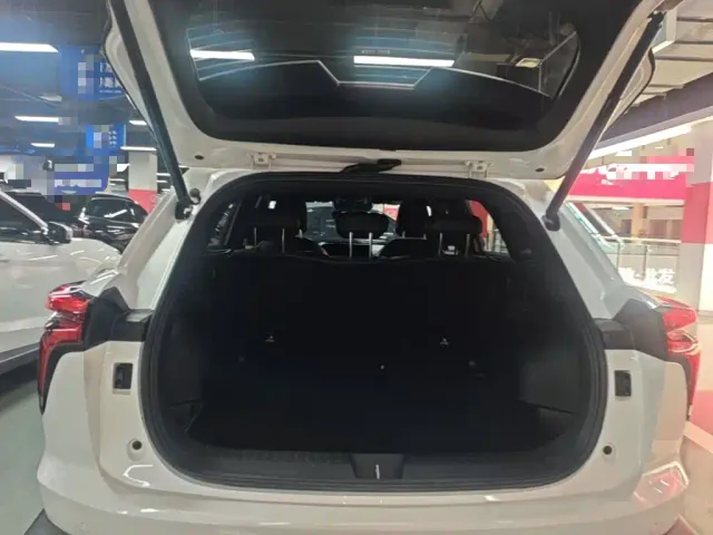 Haval Shenshou — Фото автомобиля 18