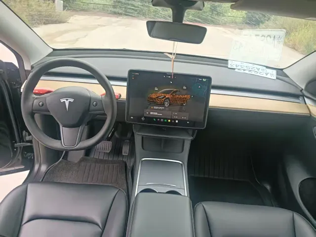 Tesla Model Y — Фото автомобиля 8