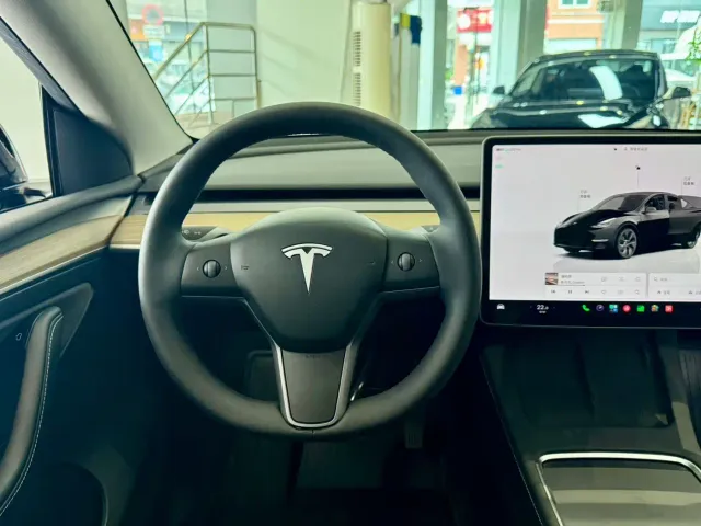 Tesla Model Y — Фото автомобиля 11