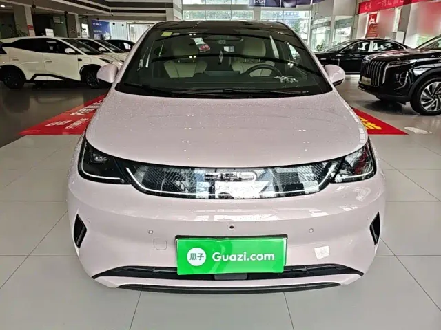 BYD Dolphin — Фото автомобиля 2