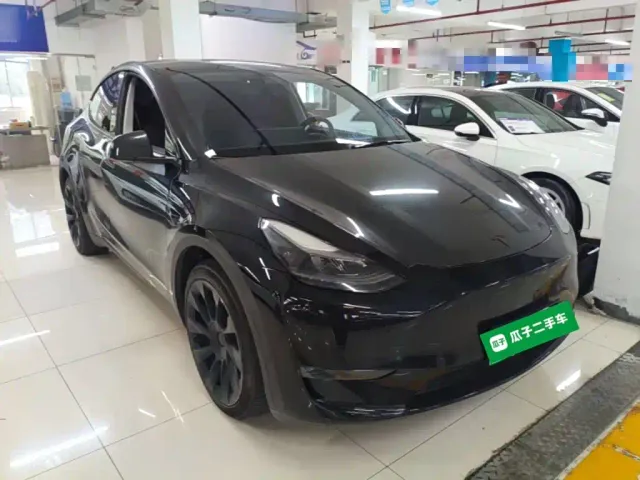 Tesla Model Y — Фото автомобиля 3
