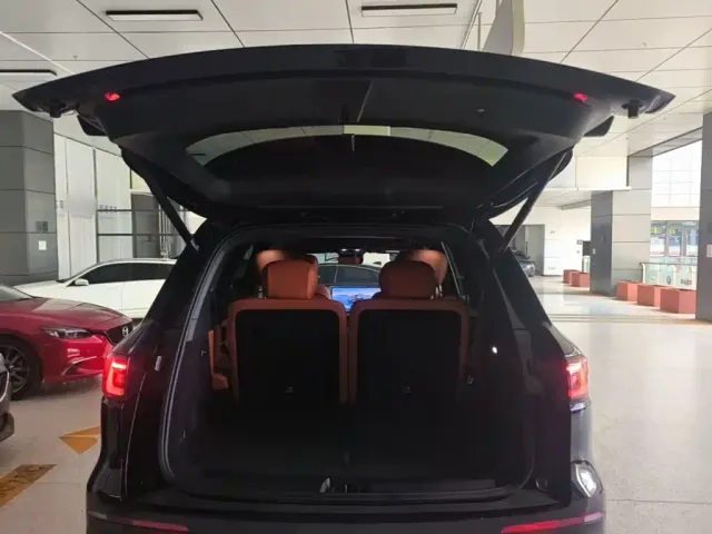 Geely Galaxy M9 — Фото автомобиля 14