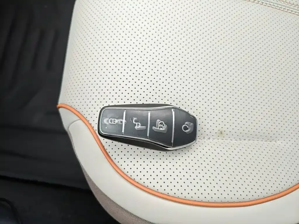 BYD Qin PLUS 2024 Glory Edition EV 510KM Leading — Фото автомобиля 8