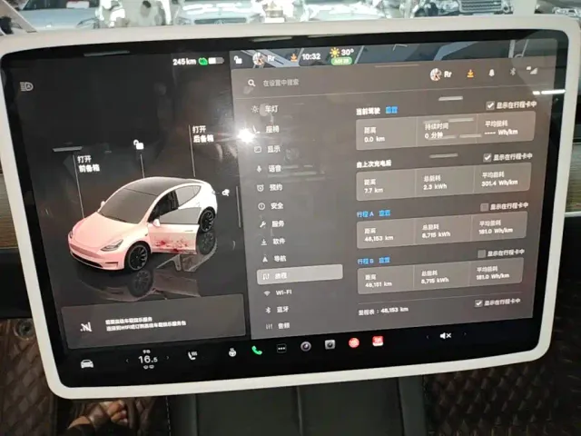 Tesla Model Y — Фото автомобиля 11