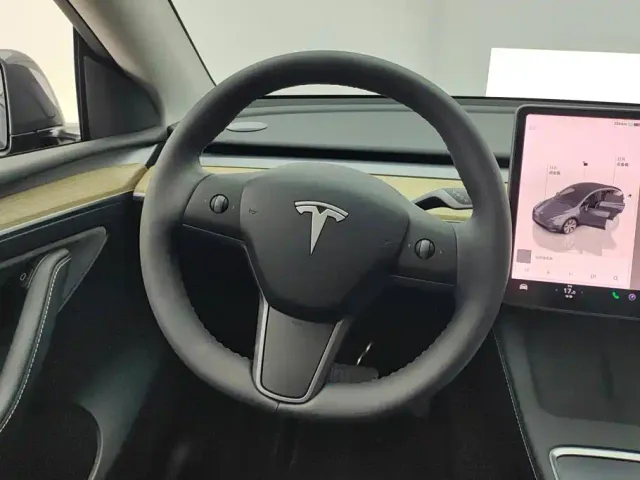 Tesla Model Y — Фото автомобиля 15