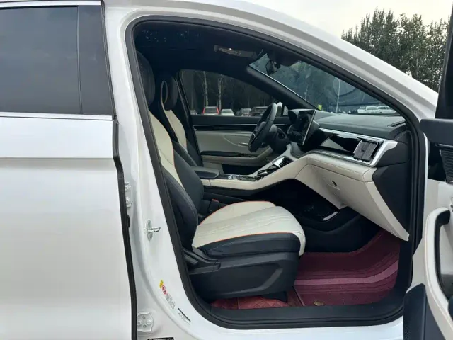 BYD Song PLUS — Фото автомобиля 17