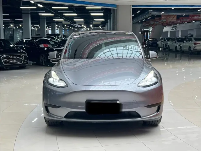 Tesla Model Y — Фото автомобиля 2
