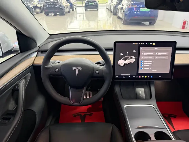Tesla Model Y — Фото автомобиля 6