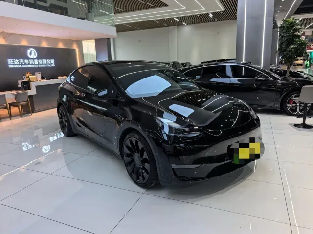 Tesla Model Y — Фото автомобиля 3