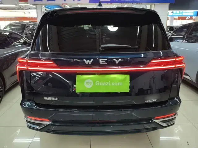 Wey Lanshan — Фото автомобиля 5