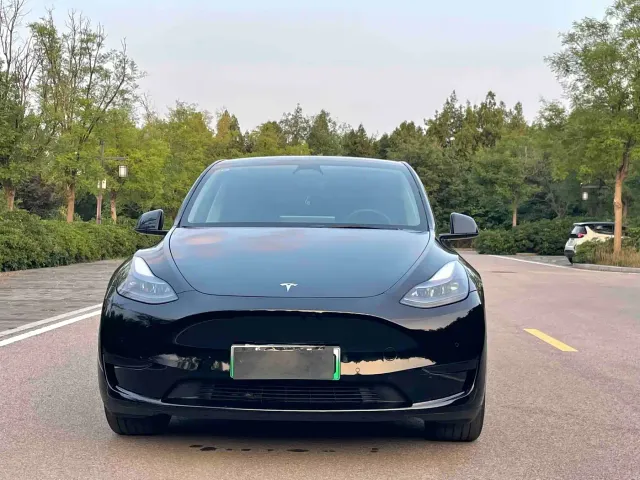 Tesla Model Y — Фото автомобиля 2