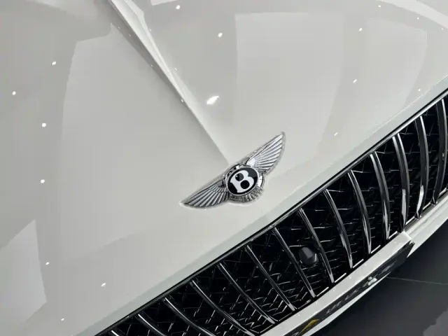Bentley Continental — Фото автомобиля 8