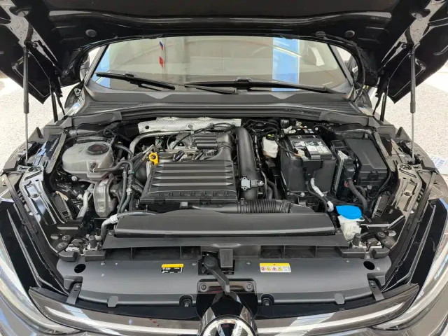 Volkswagen Lamando — Фото автомобиля 19