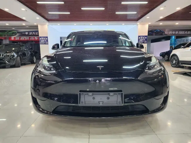 Tesla Model Y — Фото автомобиля 2