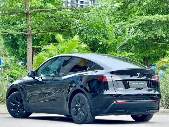 Tesla Model Y — Фото автомобиля 3