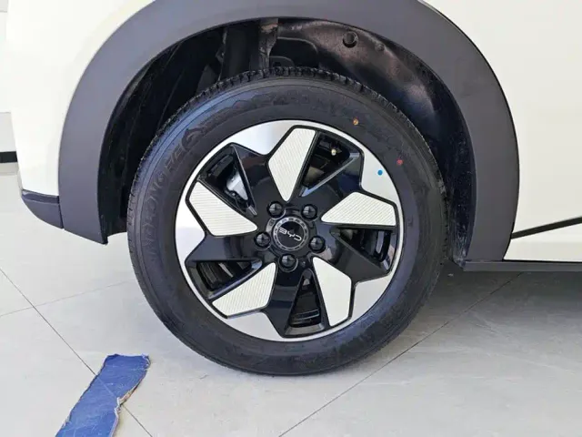 BYD Dolphin — Фото автомобиля 6