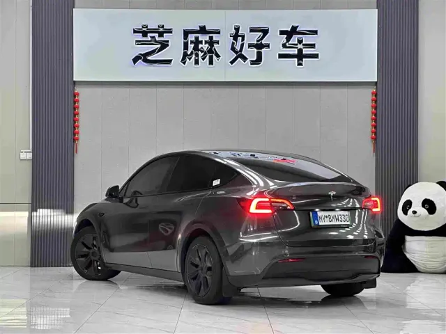 Tesla Model Y — Фото автомобиля 4