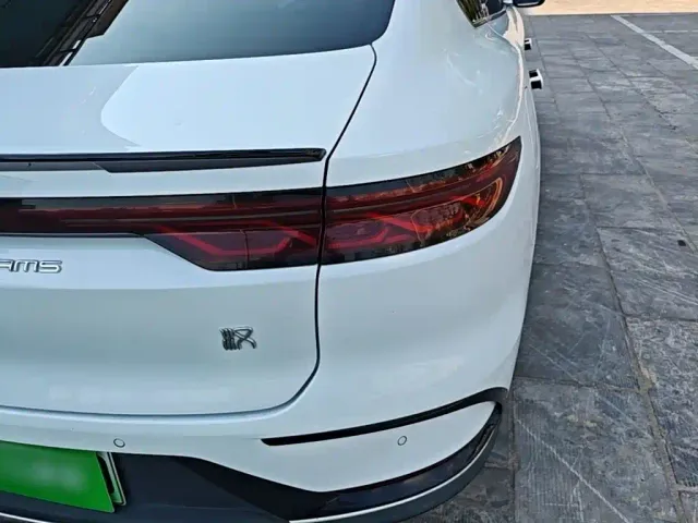 BYD Han — Фото автомобиля 7