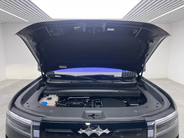 BYD FangChengBao Titanium 7 — Фото автомобиля 9