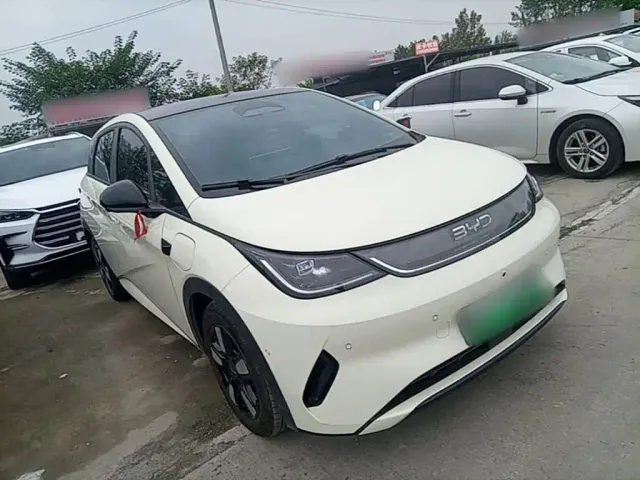 BYD Dolphin — Фото автомобиля 3
