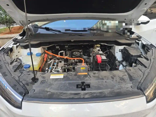 Dongfeng SKY EV01 — Фото автомобиля 16