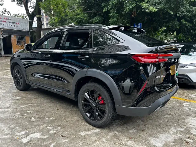 Haval H6S — Фото автомобиля 17
