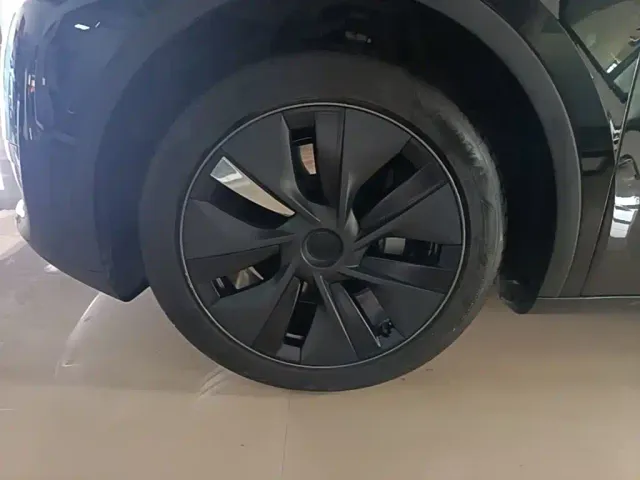 Tesla Model Y — Фото автомобиля 22