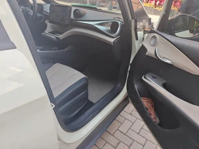 BYD Dolphin — Фото автомобиля 18