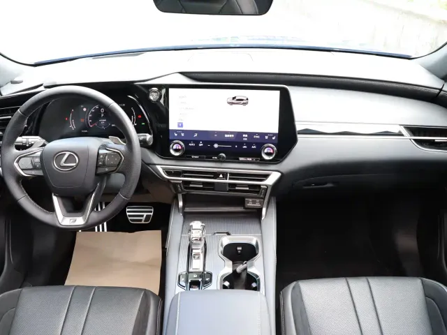 Lexus RX — Фото автомобиля 16