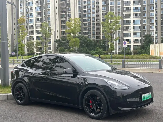 Tesla Model Y — Фото автомобиля 3